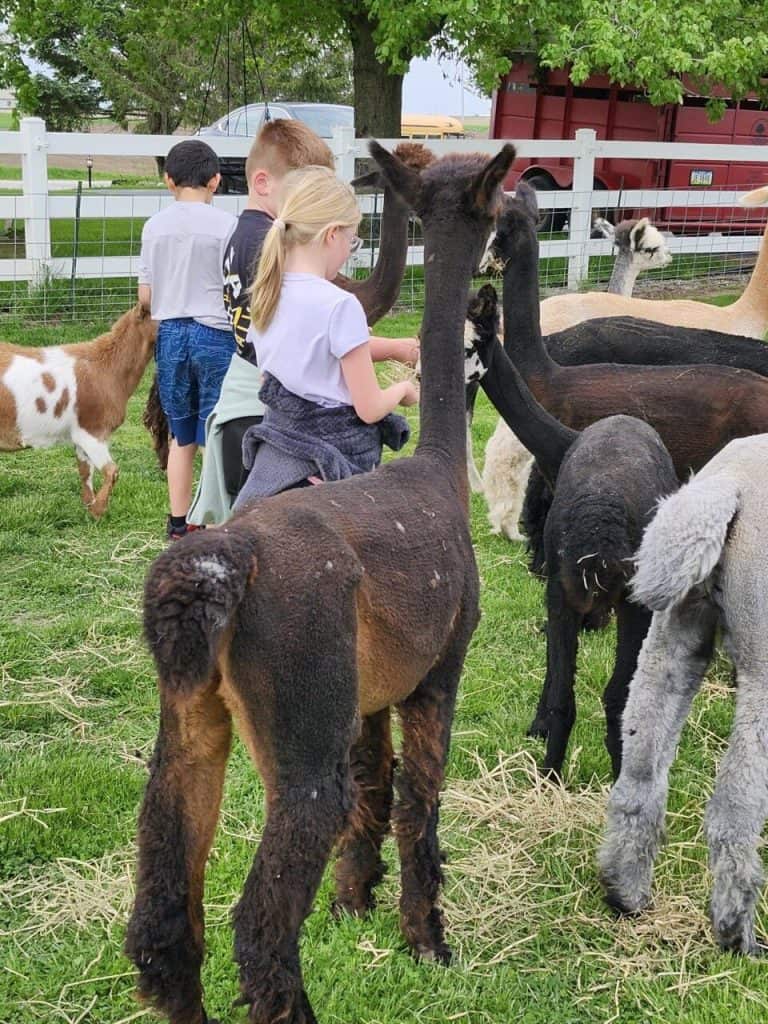Children interacting with goats at JFK Catholic School farm activity.