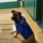 Dog wearing JFK Catholic School support vest in hallway.